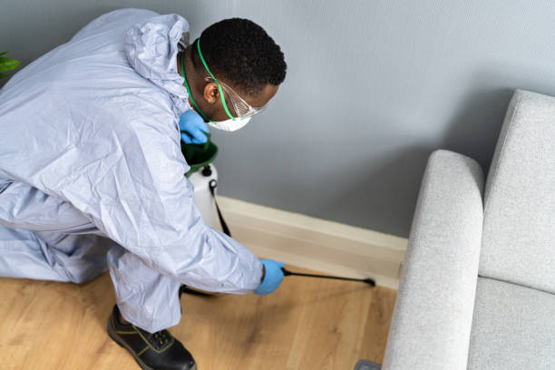 Best Pest Prevention Services  in Fort Belvoir, VA